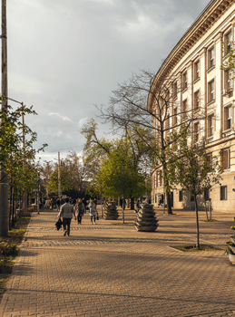 Image-ACO-reference-Tsar Osvoboditel-reference