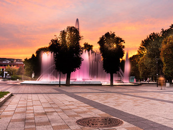 Image-ACO-Reference-Pleven-Mutitop