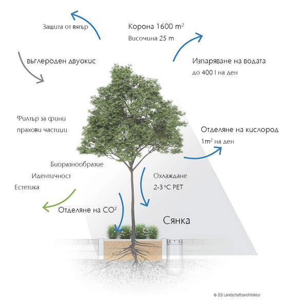 Aco-image-green-city