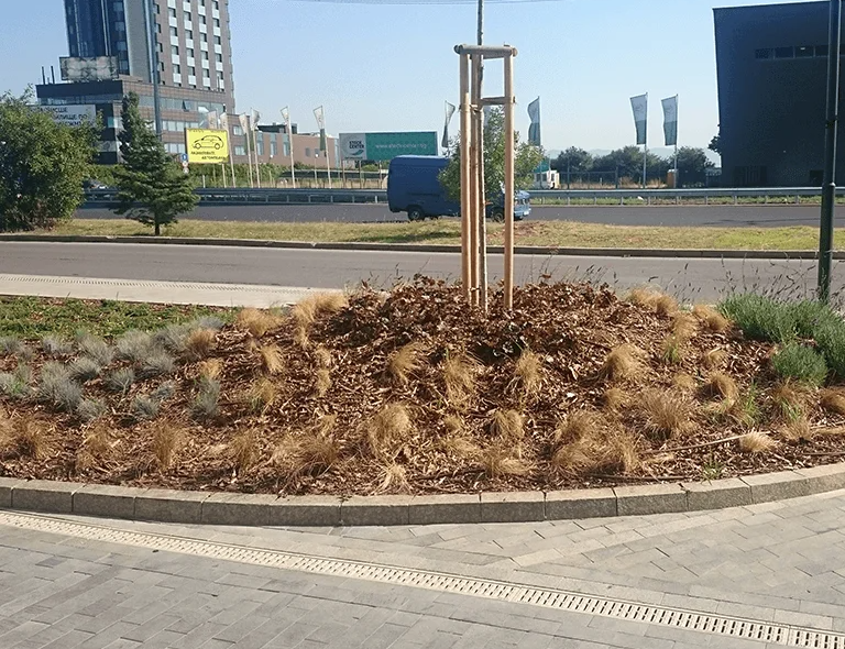 Екранна снимка 2025-05-12 111125