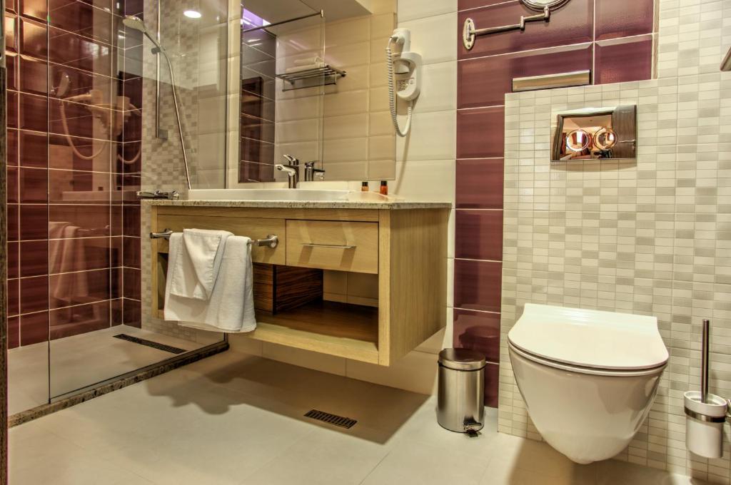 Holidayinn Toilet