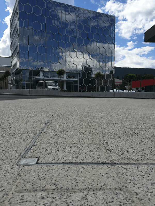 ACO-Reference-project-Biovet-access-cover