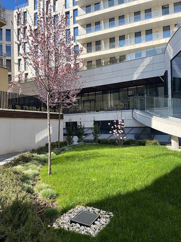 Image-ACO-reference-Hyatt-Sofia-gully