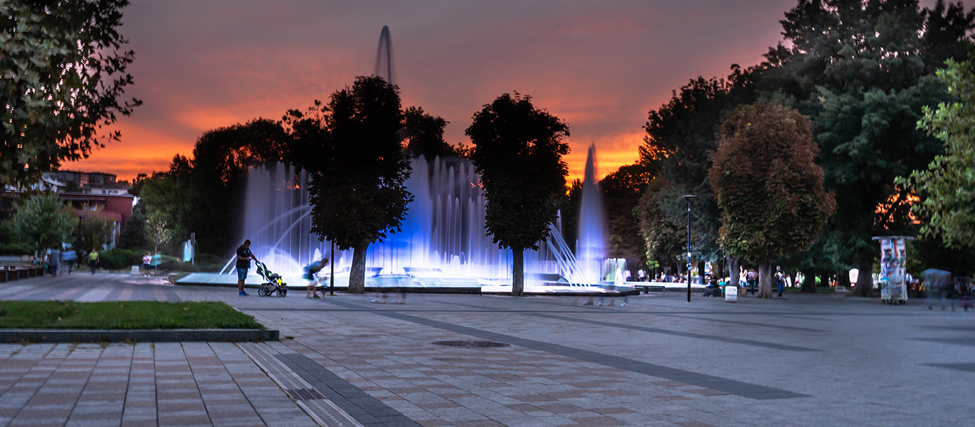 Image-ACO-Reference-Pleven-header