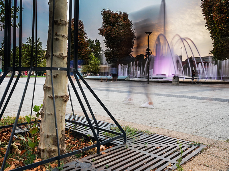 Image-ACO-Reference-Pleven-tree-grill