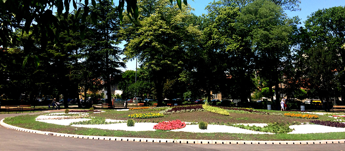 Image-ACO-Reference-Primorski-park