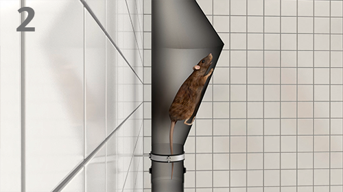 ACO Pipe - 02 Rodent Proof